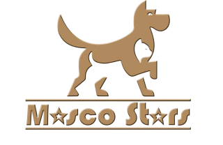 Masco Stars