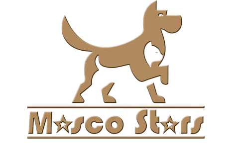 Masco Stars