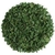 APIO HOJA - comprar online