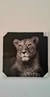 QUADRO DECORATIVO 60X60CM TELA CANVAS LEÃO C/MOLDURA DE MADEIRA MDF