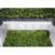 Estufa Garden HighPro - Propagator L Size - Green Time