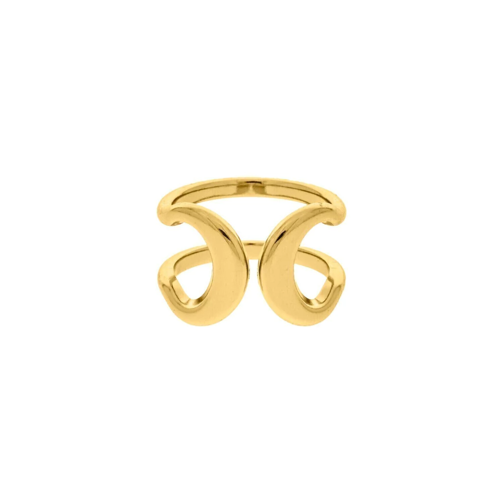 Anel Orgânico Dourado