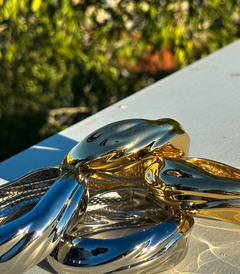 Pulseira Shine - comprar online