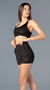 Short Delfi 0026-B en internet