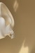 Aros Igea (Acero blanco)