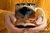 3d libro y flores 1390 - comprar online
