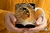 3d libro y flores 1390 - comprar online