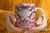 3D MARIPOSA ROSA 1777 - comprar online