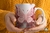 3D MARIPOSA ROSA 1777 - tienda online
