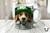 3D PERROS SAN PATRICIO 2272 - Estilo Odin