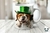 3D PERROS SAN PATRICIO 2272 - Estilo Odin