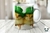 3D SAN PATRICIO ANIMALES 2273 - Estilo Odin