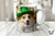 3D PERROS SAN PATRICIO 2272 - tienda online