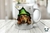3D PERROS SAN PATRICIO 2272