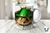 3D SAN PATRICIO ANIMALES 2273