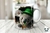 3D SAN PATRICIO ANIMALES 2273 - tienda online