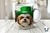 Imagen de 3D PERROS SAN PATRICIO 2272