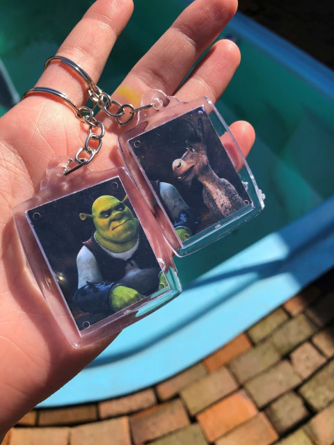 Dupla Chaveiros metadinha Shrek e burro