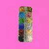 12 Folhas Ouro Colorido Encapsulamento Unhas