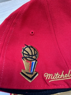 gorra cerrada bulls - tienda online