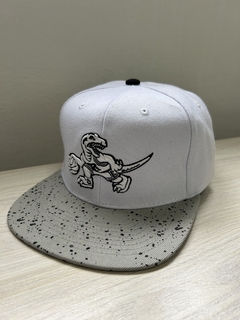 Gorra raptors