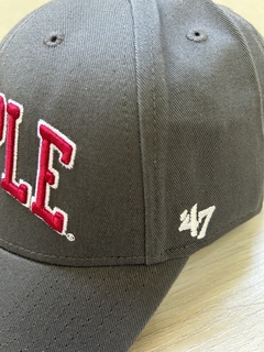 Gorra curva temple - comprar online