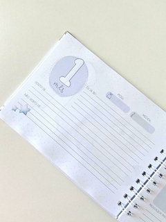 Imagem do Álbum Mesversário - MENINOS