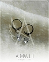 Argolla gota de strass