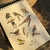 Aquarela Original A5 "Aves da Caatinga" - comprar online