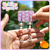 Aritos frutales - comprar online