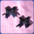 Midnight Blue - Hebillas Lumi