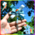 Rainbow Dash en internet