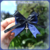 Midnight Blue en internet