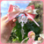 Sakura en internet