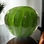 PESO BOLA EM MURANO VERDE FOLHA - comprar online