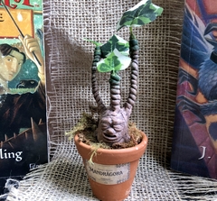 Imagem do Mandragora bebê artesanal Harry Potter