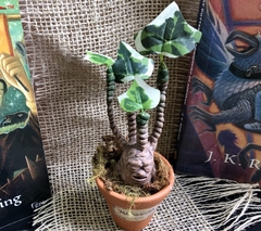 Mandragora bebê artesanal Harry Potter - loja online