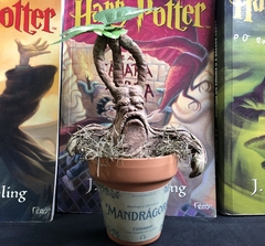 Mandrágora decorativa artesanal Harry Potter - comprar online