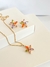 Conjunto flor colorido