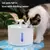 Fonte de água para Pet (cachorro e gato) - comprar online