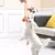 Bola mastigável para cães - loja online
