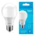 Lâmpada Led Elgin Bulbo 12 W Bulbo Cor Branco-frio 12w 127v/220v 6500k 1100lm