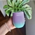 Mate Trendy - comprar online
