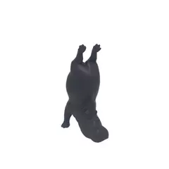 Hipopótamo Na Yoga