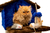 Casinha de Gato com Arranhador na internet