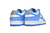 Nike Dunk Low “Coast” na internet