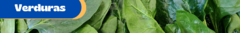 Banner for category Verdura em folhas