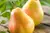 Pera Portuguesa 550g - comprar online
