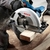 Serra Circular Bosch Gks2065 2000W 7.1/4 220v
