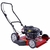 Cortador Grama Garthen Gasolina Gr-6000C 6Hp 4 Tempos Recolhedor - comprar online
